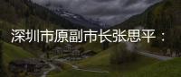 深圳市原副市长张思平：国有企业要有所为有所不为