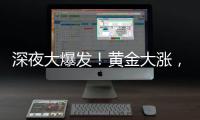 深夜大爆发	！黄金大涨
，现货白银创14年新高！美股全线跳水