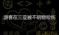 游客在三亚被不明物咬伤后身亡	，官方通报：已成立调查组
