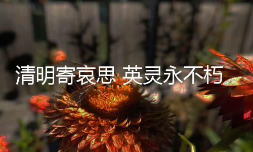 在西沙海战烈士陵园