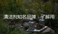 清洁剂知名品牌：了解用户需求 注重市场反馈