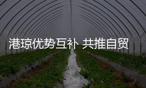 促进琼港两地标准和规则相接