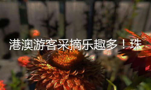 据基地负责人黄智鹏介绍