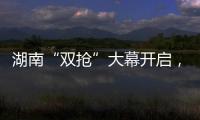 湖南“双抢”大幕开启，中联重科农机实力助阵!
