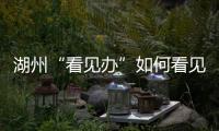 湖州“看见办”如何看见 �：20点播批评报道
，21点须研究整改