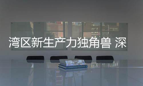 深圳货拉拉科技有限公司
、
