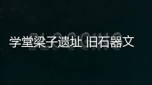 梁遗发掘面积203平方米