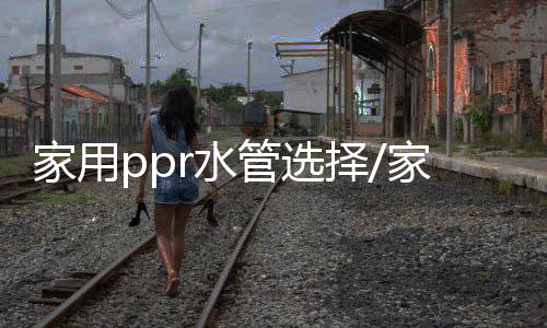 管选公司自成立以来