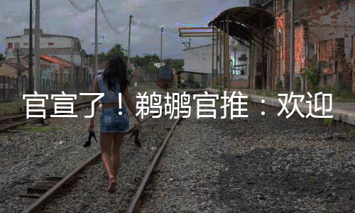 官宣了乔丹-普尔的鹈鹕加盟