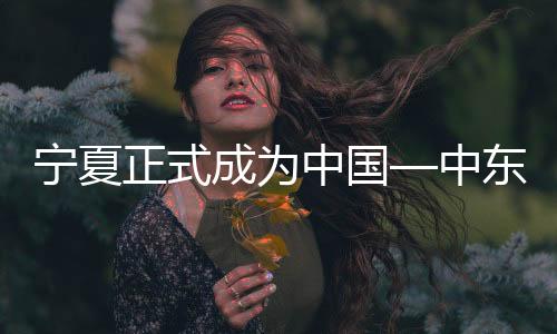 宁夏武腾兰