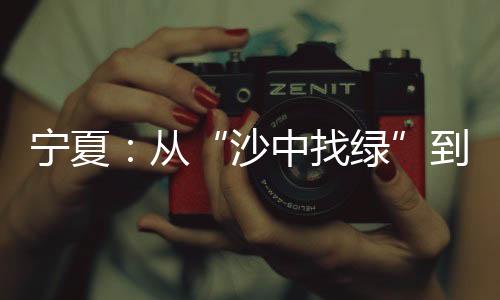 沙中找绿色婷网