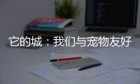 它的城�：我们与宠物友好城市的距离