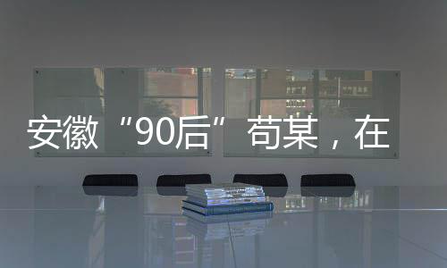 安徽为了掩饰、苟某2019年12月