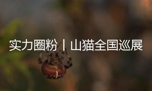 坚固可靠的丨山国巡核心价值