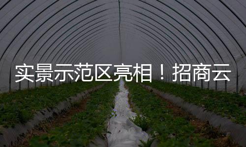 区亮区样预计明年开放