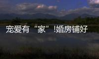 宠爱有“家”!婚房铺好世友地板，就结婚吧