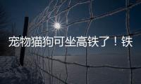 宠物猫狗可坐高铁了	�！铁路12306推出“宠物托运”功能