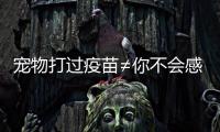 宠物打过疫苗≠你不会感染！被宠物抓伤后应该怎么办	？