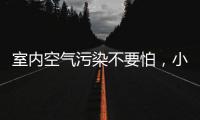 室内空气污染不要怕
�，小海鸥贝壳粉还你清新空气!
