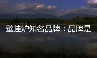 壁挂炉知名品牌：品牌是“亮点” 售后服务树口碑