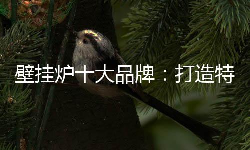 目前许多壁挂炉企业