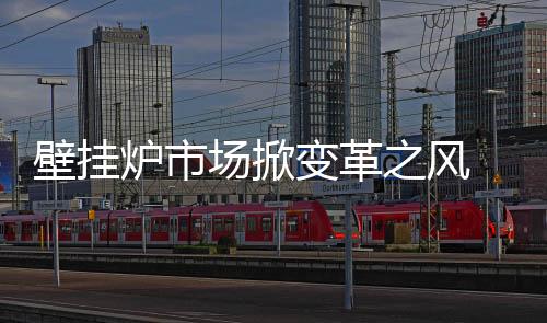 就当前的壁挂炉市场上