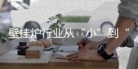 快排公司十年历程，霸屏兔 seo 的崛起与坚守