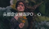 头部企业接连IPO，心脏瓣膜行业为何这么热？