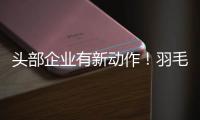 头部企业有新动作�！羽毛球又掀“涨价潮”？