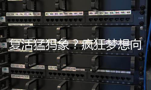 前步身披黑色的丨科细密长毛
