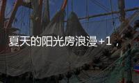 夏天的阳光房浪漫+1，且真不热!