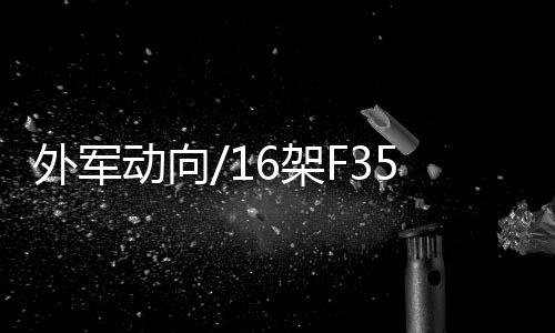 上试阵且据称稍后增至20架