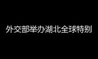 外交部举办湖北全球特别推介活动