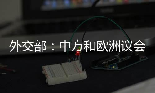 同步中欧立法机构交往