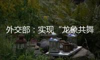 外交部	
：实现“龙象共舞”是中印两国唯一正确的选择