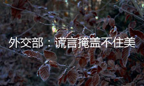 住美制巴有记者问：日前