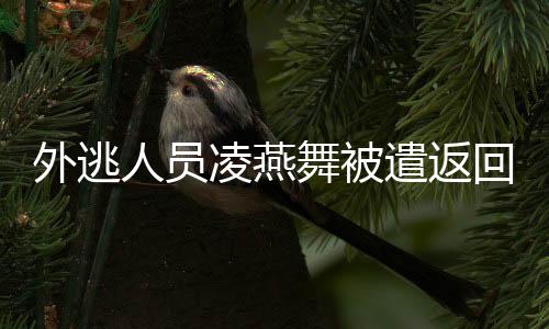 办案机关及时冻结涉案赃款