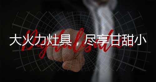 就让西门子来打造无烟厨房