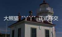 大熊猫“丫丫”正式移交中方！