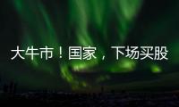 大牛市
！国家，下场买股票