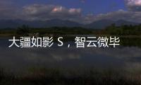 大疆如影 S，智云微毕S怎么样?