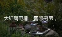 大红鹰电器：智感厨房，智慧非凡，解锁智能新生活