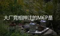 大厂竞相押注的MCP是啥？