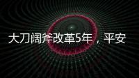 大刀阔斧改革5年
，平安集团半壁江山寿险业成色几何
？