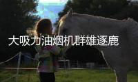 大吸力油烟机群雄逐鹿 厨电企业围绕吸力大小比拼