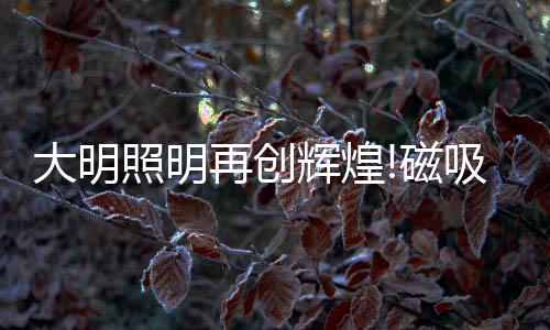 照明再创值得一体的辉煌是
