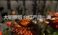 大明照明·台灯产品：满足眼 满足心 满足对美的追求
