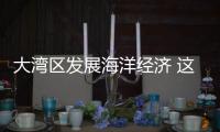 大湾区发展海洋经济 这件“小事”为何这么关键	？