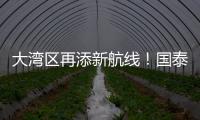 大湾区再添新航线！国泰乌鲁木齐—香港直飞航线起航
