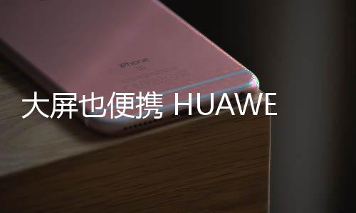 带来了简约但不失尊贵的外观